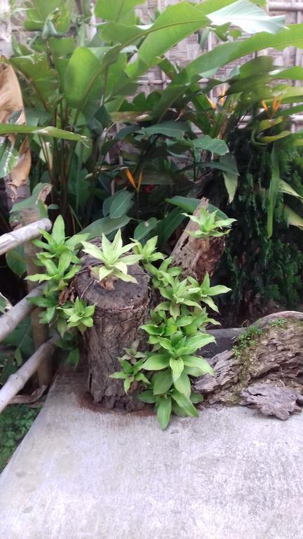 Longchen Homestay Dimāpur Buitenkant foto