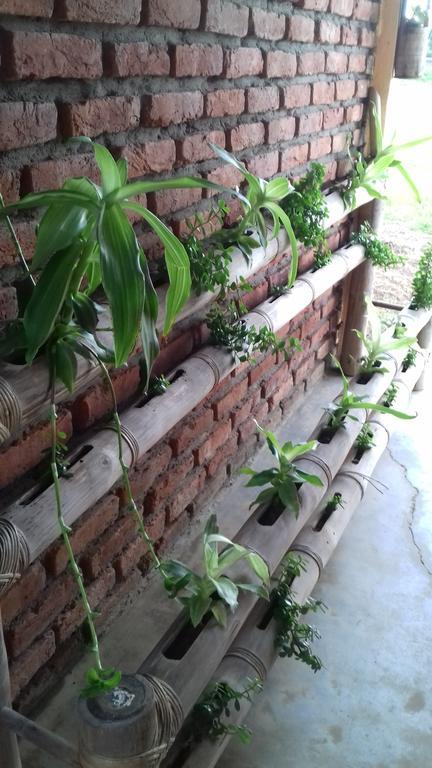 Longchen Homestay Dimāpur Buitenkant foto